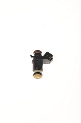 Multi-Port Fuel Injector