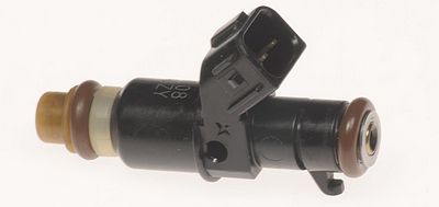 Multi-Port Fuel Injector