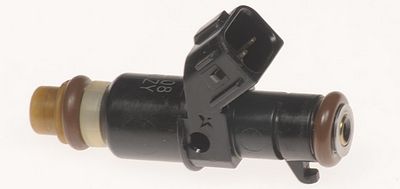 Multi-Port Fuel Injector
