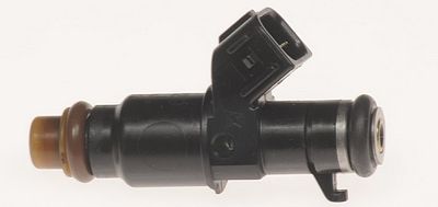 Multi-Port Fuel Injector