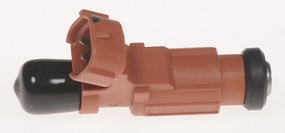 Multi-Port Fuel Injector