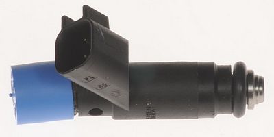 Multi-Port Fuel Injector