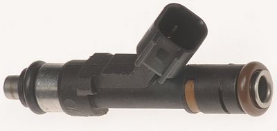 Multi-Port Fuel Injector