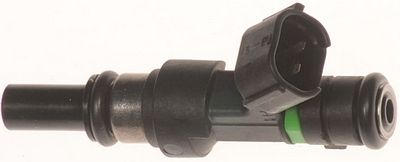 Multi-Port Fuel Injector