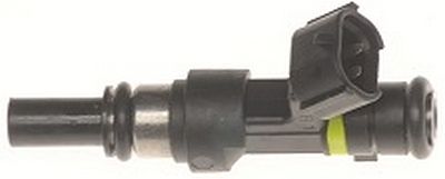 Multi-Port Fuel Injector