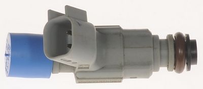 Multi-Port Fuel Injector