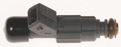 Multi-Port Fuel Injector