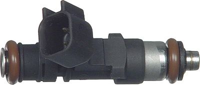 Multi-Port Fuel Injector