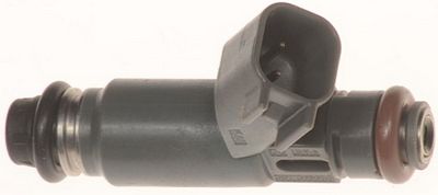 Multi-Port Fuel Injector