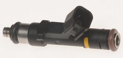 Multi-Port Fuel Injector