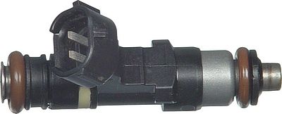 Multi-Port Fuel Injector