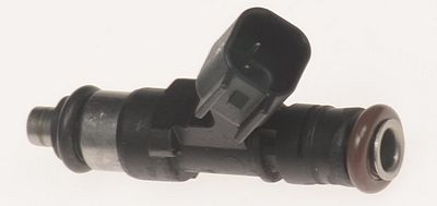 Multi-Port Fuel Injector
