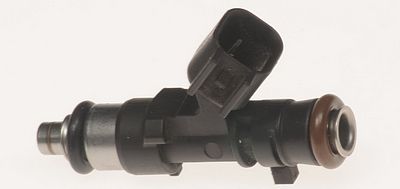 Multi-Port Fuel Injector