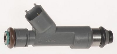 Multi-Port Fuel Injector