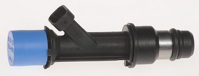 Multi-Port Fuel Injector