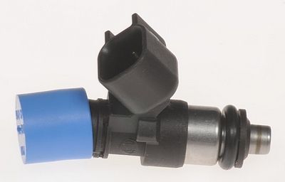 Multi-Port Fuel Injector