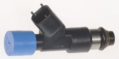 Multi-Port Fuel Injector
