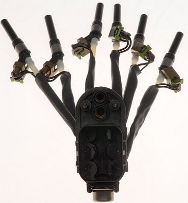 Multi-Port Fuel Injector