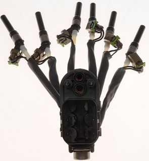 Multi-Port Fuel Injector