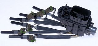 Multi-Port Fuel Injector