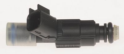 Marine Multi-Port Fuel Injector