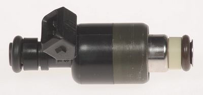 Marine Multi-Port Fuel Injector