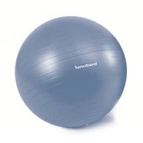 Exercise Ball 75cm Blueberry