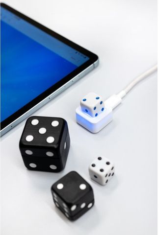 BoBo Dice, Smart Dice for Functional and Cognitive Rehabilitation