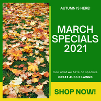 MARCH SPECIALS 2021 - GREAT AUSSIE LAWNS