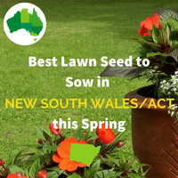 Best Lawn Seed for NEW SOUTH WALES AND ACT IN SPRING