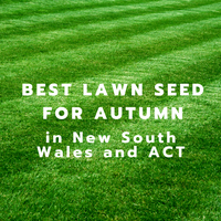Suggested Seed for Spring in NSW/ACT