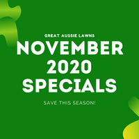 NOVEMBER SPECIALS 2020 - GREAT AUSSIE LAWNS