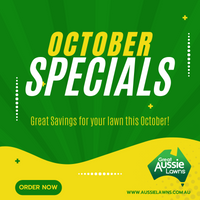 OCTOBER SPECIALS 2021