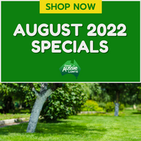 August 2022 Specials - Great Aussie Lawns