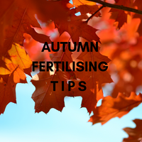 FERTILISE YOUR LAWN IN AUTUMN