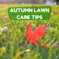 Your Autumn Lawn - Tips for Autumn Lawn Care