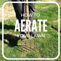 How to Aerate a Lawn