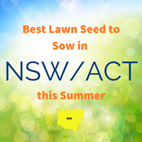 SUMMER LAWNS - Best Lawn Seed to sow in NSW/ACT this Summer