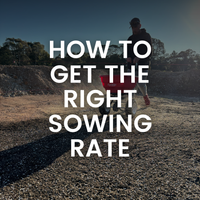 How to Get the Right Sowing Rate