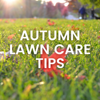 Your Autumn Lawn - Tips for Autumn Lawn Care