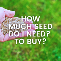 How to calculate your lawn seed sowing rate &ndash; How much lawn seed do I need to buy?
