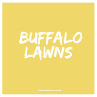 Buffalo Lawns