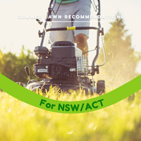 Your best summer lawn in NSW/ACT