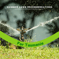 Your best summer lawn in TASMANIA