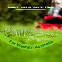 Your best summer lawn in WESTERN AUSTRALIA	