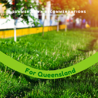 Your best summer lawn in QUEENSLAND