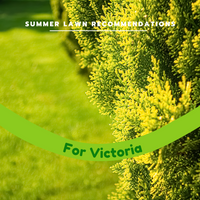 Your best summer lawn in VICTORIA