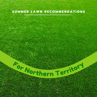 Great Aussie Lawns November 2022 Specials