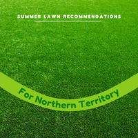 Your best summer lawn in NORTHERN TERRITORY