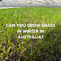 Can you grow grass in Winter in Australia?